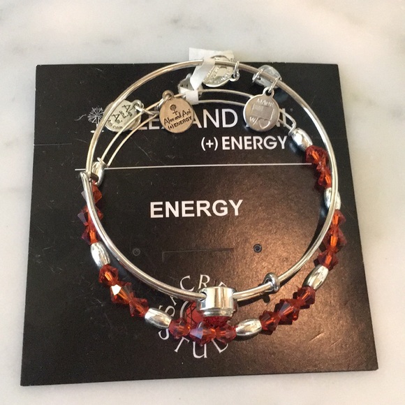 NWT Alex and Ani Red Bracelet Set - Picture 1 of 3